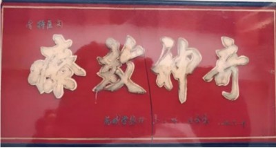 七一礼赞：豫西大地的中医守护者---记灵宝市中医从业者闵繁君